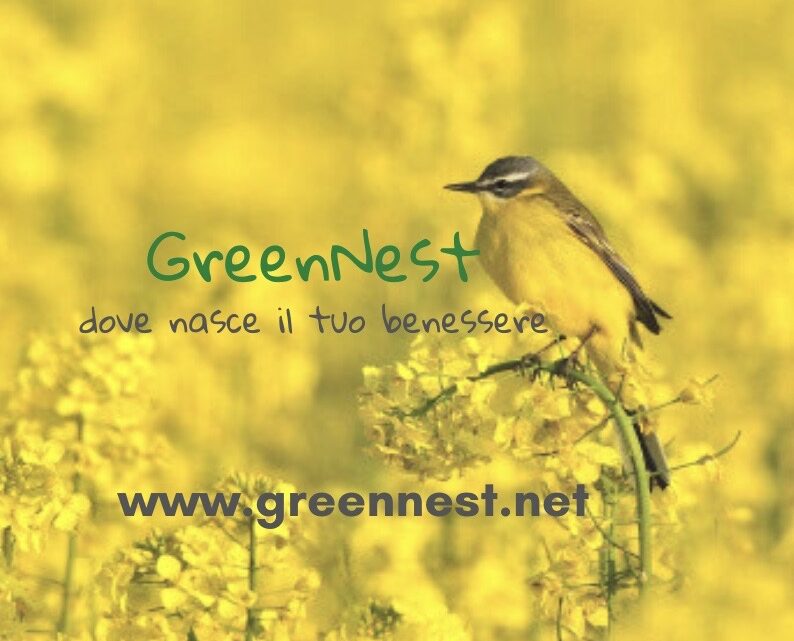 GreenNest