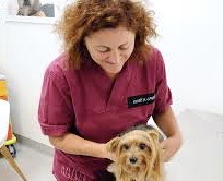 cure omeopatiche in veterinaria