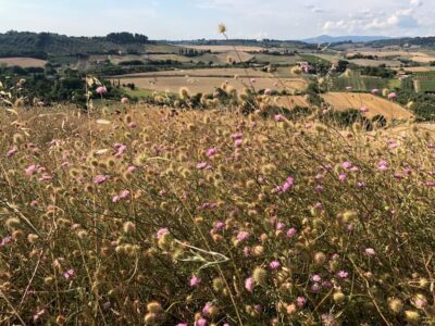 campagna toscana