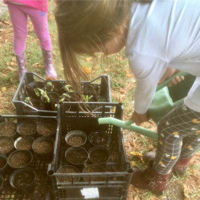 Bimbi felici all'agriasilo e al doposcuola in fattoria alle porte di Milano