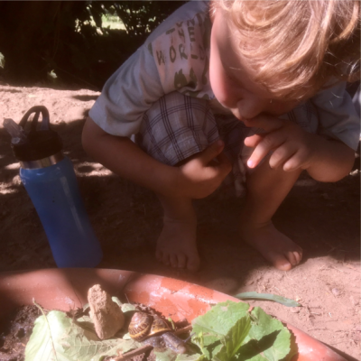 Bimbi felici all'agriasilo e al doposcuola in fattoria alle porte di Milano