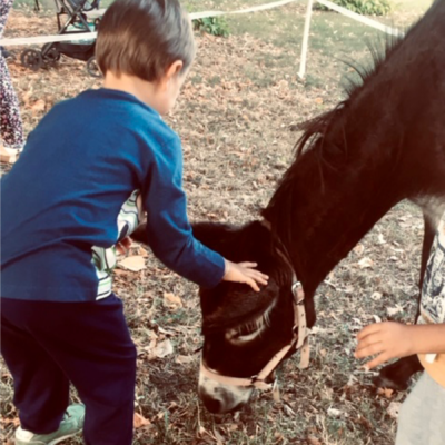 Bimbi felici all'agriasilo e al doposcuola in fattoria alle porte di Milano