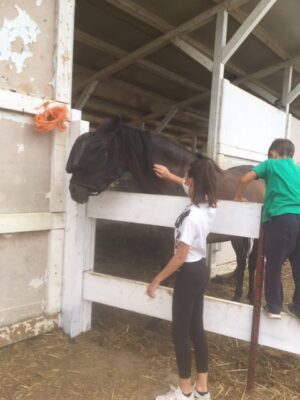 Bimbi felici all'agriasilo e al doposcuola in fattoria alle porte di Milano