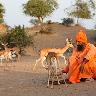 Wild animals can save us from solitude and fears. Interview with Richard Louv