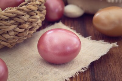 L'uovo semplice geniale sacro custode della rinascita. Tra biologia e miti