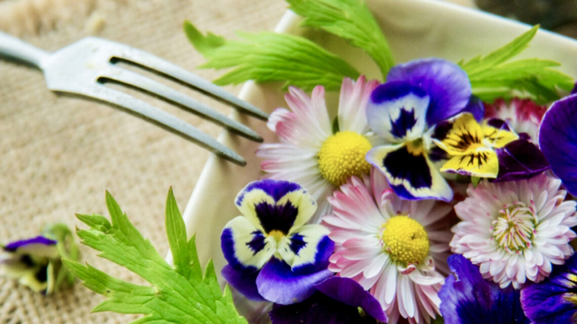 Metti i fiori nel piatto: un tocco gentile ai tuoi menù di primavera